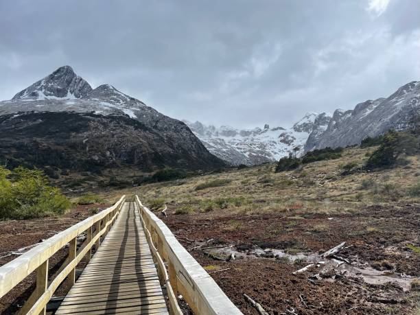 istock Wooden walkway and glaciated mountains 2163927515