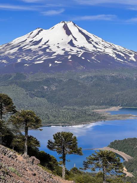 istock Forest, lake and snowcapped volcano 2163927654