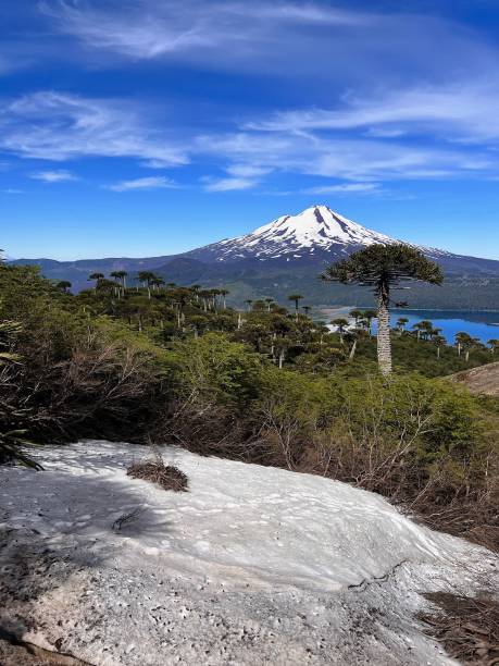 Aerial view of ski area Villarica Volcano