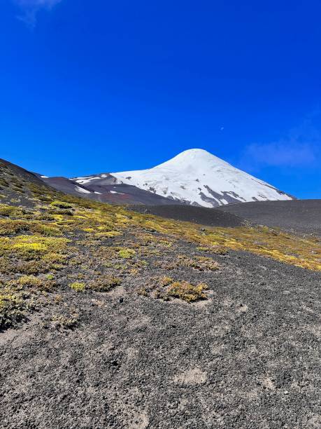 Shrubland  and snowcapped volcano, Osorno volcano, Puerto Varas, Patagonia