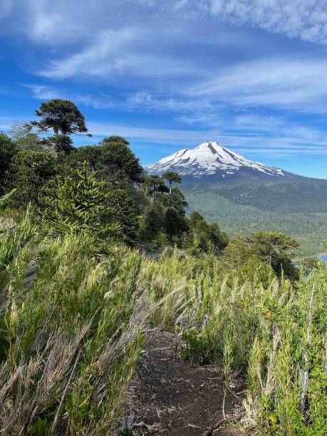 istock Pathway through forest to snowcapped volcano 2163927692