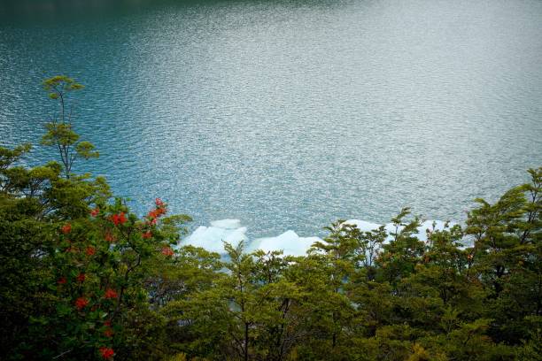 Glacial lagoon and ice floating on the water surface, Serrano Glacier, Puerto Natales, Patagonia