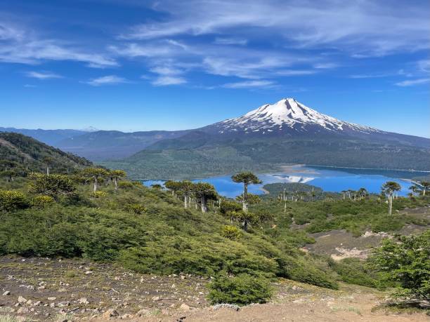 istock Forest, lake and snowcapped volcano 2163927706