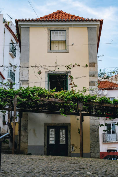 View of old house with green door, azure blue tiles facade and blooming flowers at Lisbon street at medieval quarter Alfama at Santa Maria Maior district, Portugal
