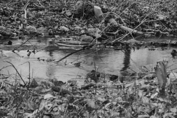 istock A still creek in a dry winter 2163936629