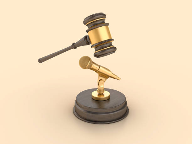istock Microphone with Legal Gavel 2163936748