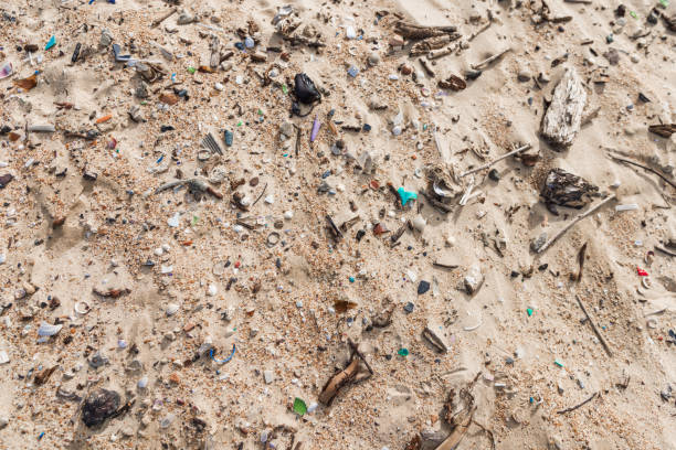 istock Pollution by microplastic rubbish on coastline. Plastic garbage in sand on ocean beach. 2163937351