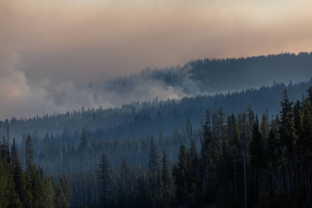 istock Forest Fire in the Southern Oregon Cascades. 2163940261