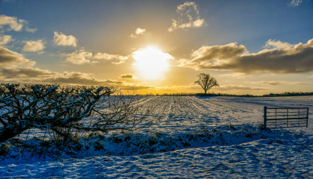 istock Rural Sunrise Over A Farmers Field. 2163946331