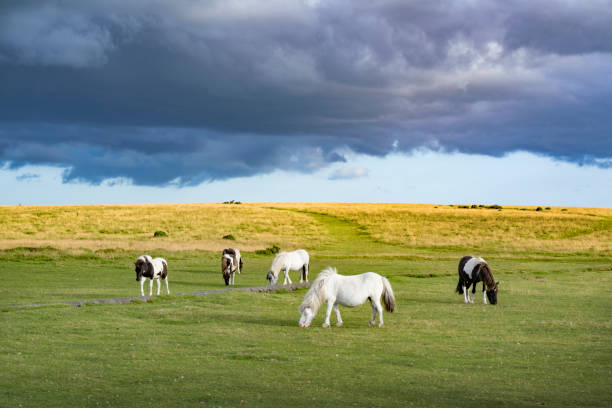 Stormy skies over Dartmoor in Devon