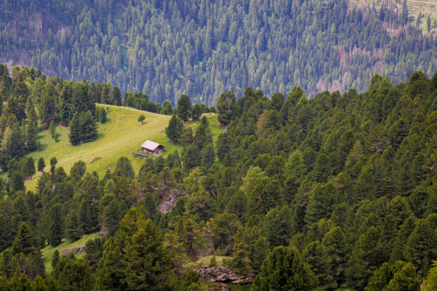 A shot of Val di Fassa seen from Sassolungo - Italy