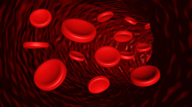 istock Red blood cells flowing through an artery 2163959558