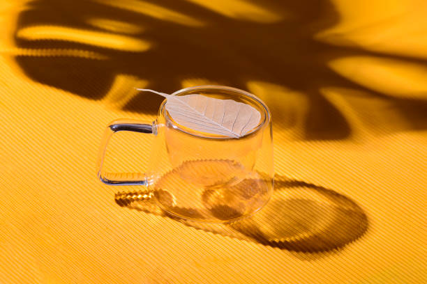 istock Closeup image of a skeleton leaf as a tea strainer on a double wall designer glass cup on an orange background with harsh contrasty light and monstera leaf shadow 2163970298