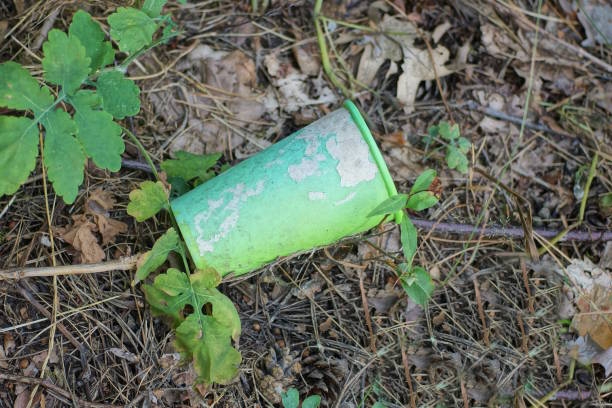 istock garbage from one old paper green white empty glass 2163972318