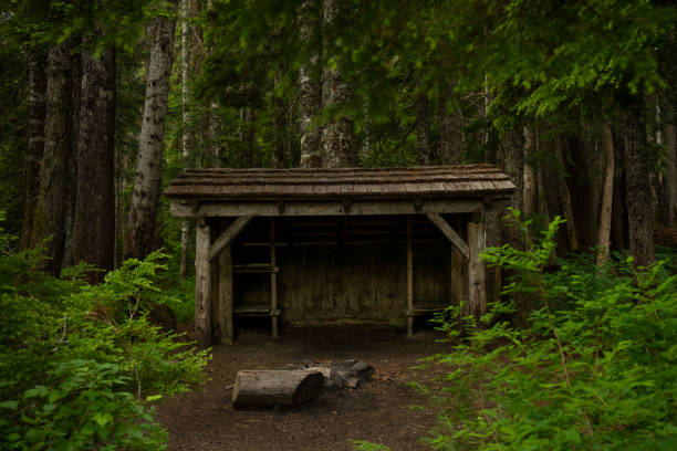 istock Emergency Shelter at Mink Lake in Olympic 2163973102