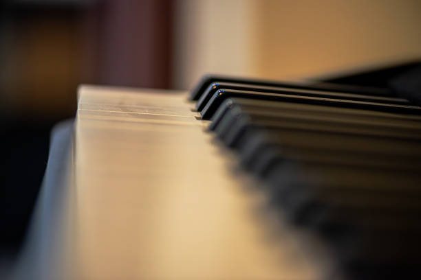 istock Harmonic Details: Macro Photo of Piano Keys 2163977345