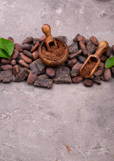 istock Natural cocoa powder, cocoa beans and chocolate 2163983861