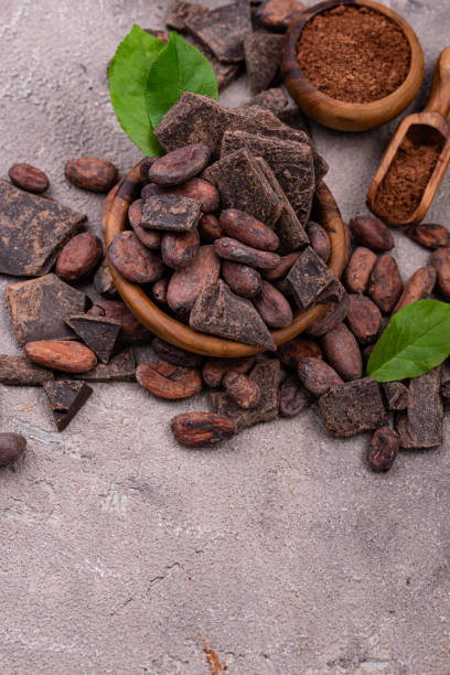 istock Natural cocoa powder, cocoa beans and chocolate 2163983865