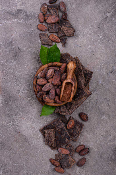 istock Natural cocoa powder, cocoa beans and chocolate 2163983870