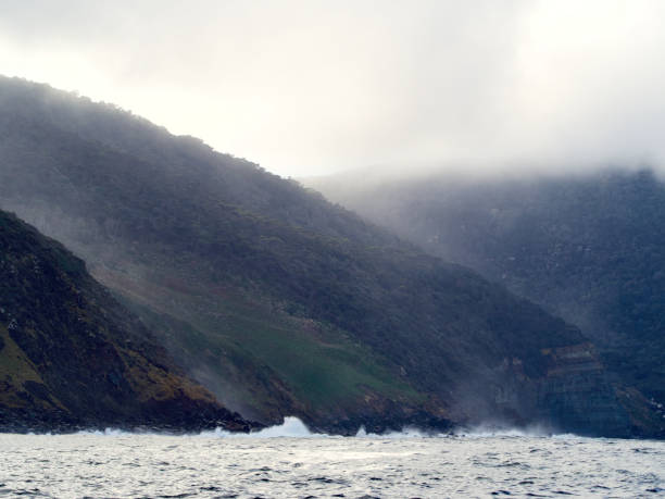 Horizontal landscape photo of waves in the Tasman Ocean breaking on steep rugged cliffs and misty forested mountainsides on the Eastern coastline of Bruny Island, Tasmania, in Winter.