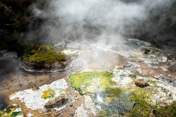 istock Blue Green Algae in Waimangu Volcanic 2163990266