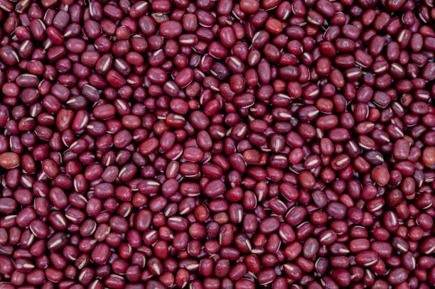 Azuki red bean background and texture, close up