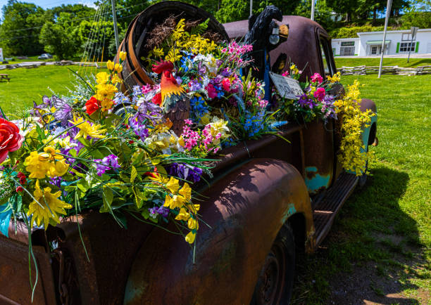 Flowers in The Back of Old Rusty Pickup, Townsend, Tennessee, USA