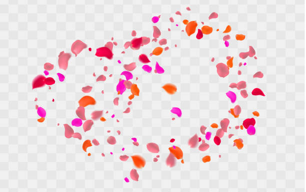 istock Rose petals or sakura flying petals, romantic background with realistic pink cherry flower petals flow or falling motion. Love, romance, floral spring season 2164000434