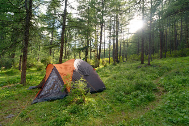 istock camping tent in the forest 2164002340
