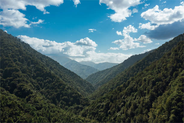 istock Serene mountain valley with greenery, perfect for hiking and exploring the wilderness 2164004622