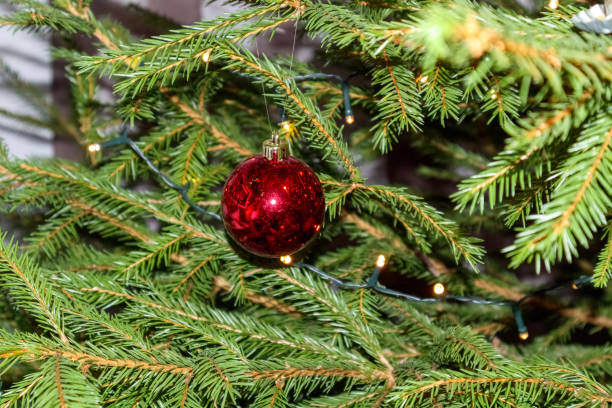 istock .christmas tree branch with red balls 2164005324