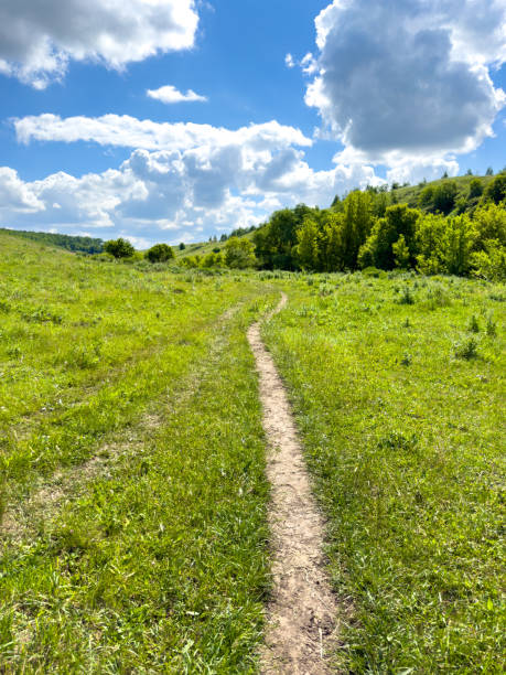 istock Path on the hills on green grass in summer 2164006711