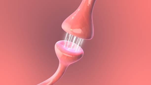 istock Synapses and Neurotransmission medical animation 2164007423