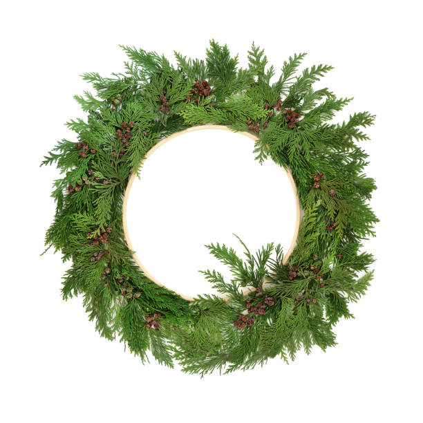 istock Christmas Winter Cedar Fir Leaf Green Wreath 2164007586