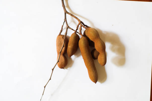 Tamarind fruit with seed isolated on white background, with copy space for your text. Top view.
