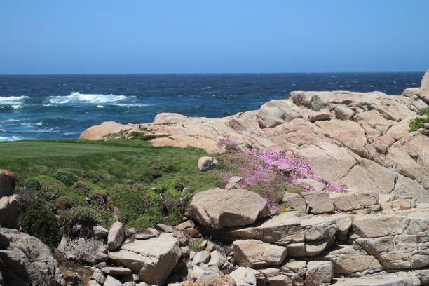 istock 17 mile drive von carmel nach monterey 2164015159