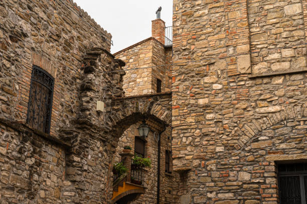 traditional stone montenegro houses with wppden window shuts, green gardens, amazing natural architecture of balkans