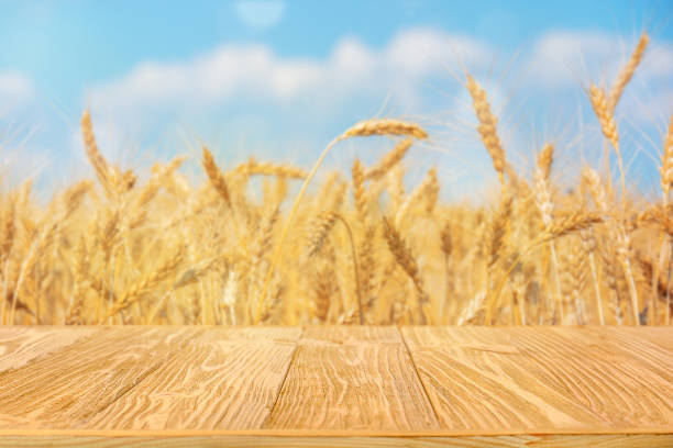 istock Wooden tabletop with wheat field background 2164021858