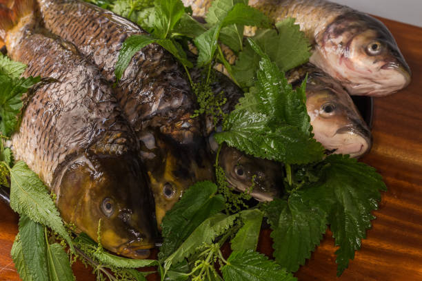 istock Raw cleaned prepared carps and grass carp mixed with nettles 2164027221