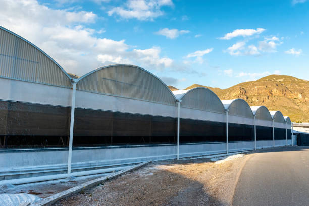 istock greenhouse roofs on a curve 2164029339