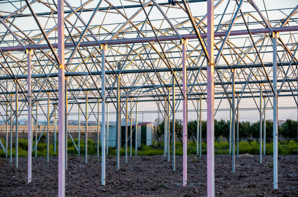 Germany, Berlin, Adlershof, July 15, 2024 -Metal pipes in a factory