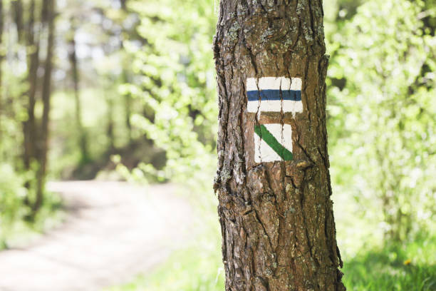 Free picture: mark, marker, marking, sign, symbol, tree, forest, wood ...
