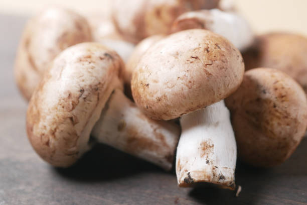 istock Fresh champignons mushroom in a white bowl on table 2164031034