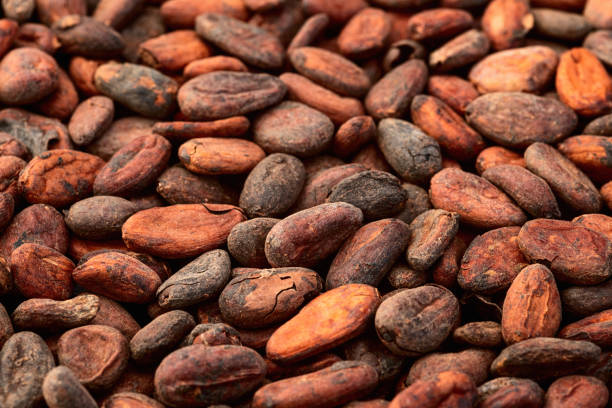 istock Cocoa beans grain texture . Ingredient for preparating chocolate 2164034773