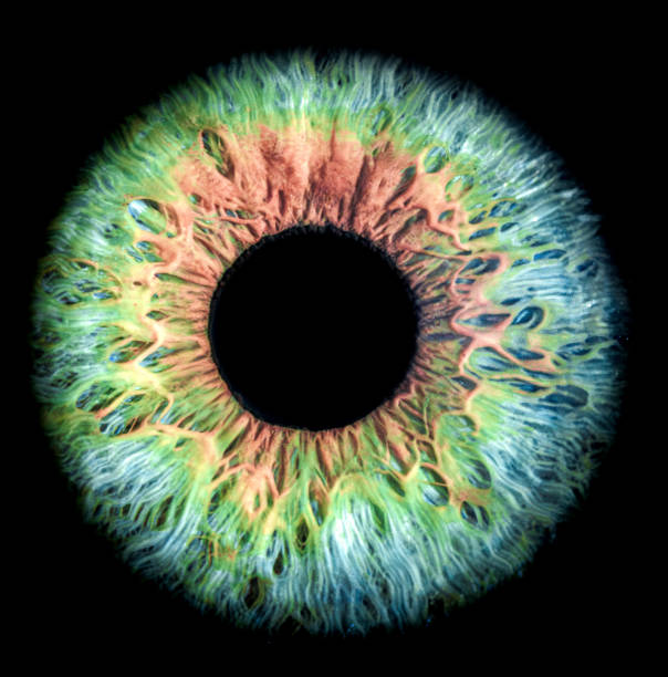 istock Macro shot of a colorful human iris with intricate details and mesmerizing patterns 2164041386