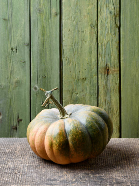 Muscade de Provence Pumpkin on an Old Wooden Table with Green Background and Copy Space
