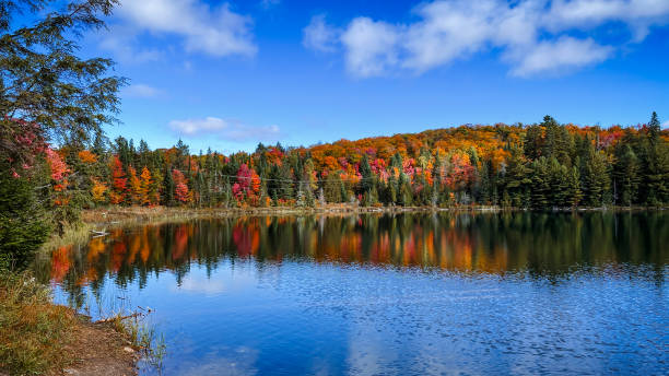 istock Fall Colors in Algonquin Provincial Park, ON 2164042163