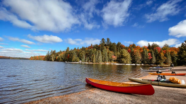 istock Fall Colors in Algonquin Provincial Park, ON 2164042184