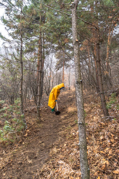 istock Trail builders in the forest 2164042218