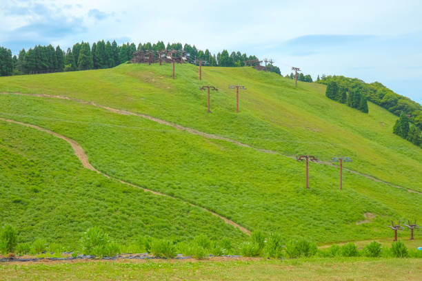 Hakodateyama ski resort in the summer with blue sky.
